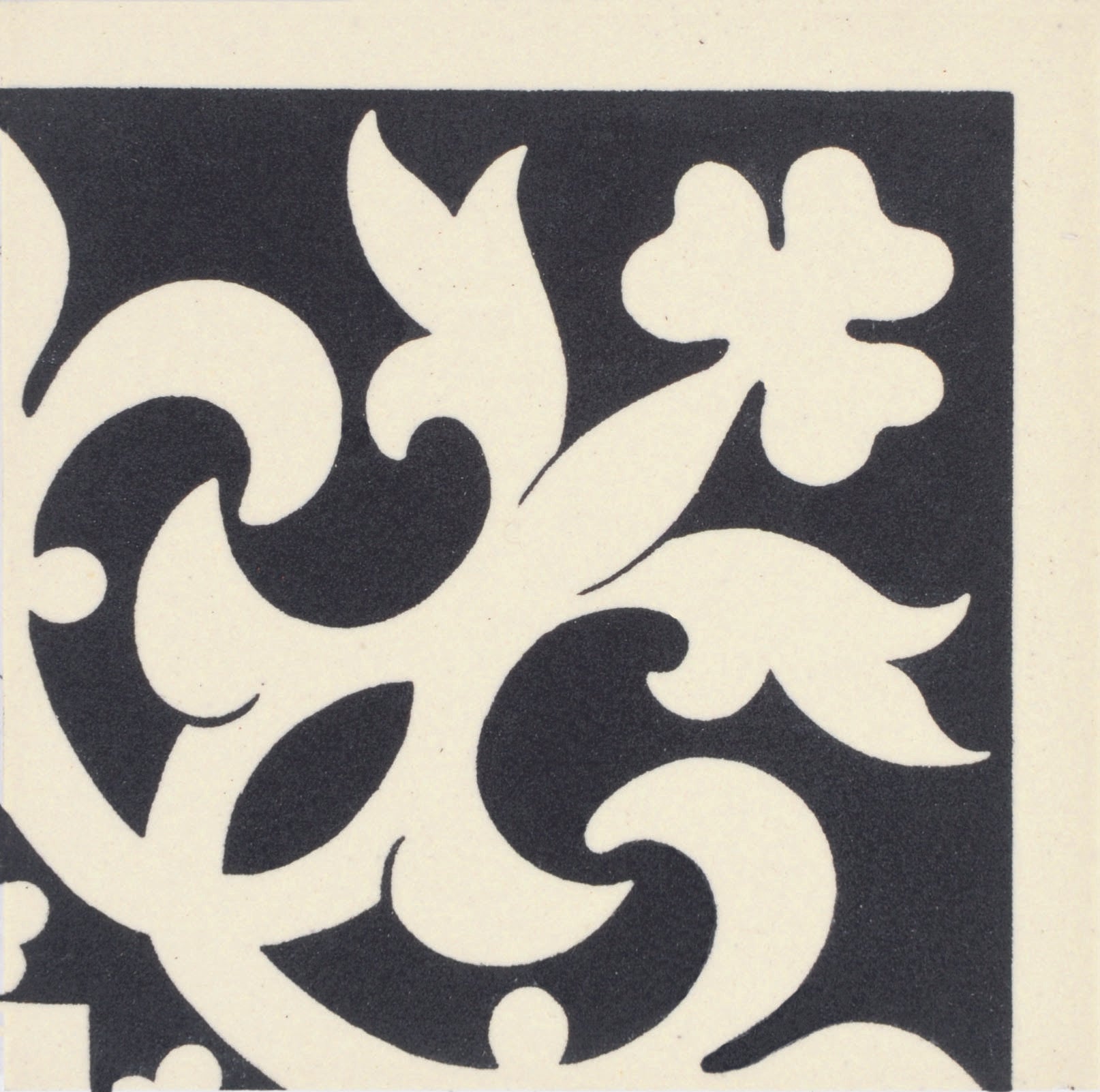 Elgin Black on White