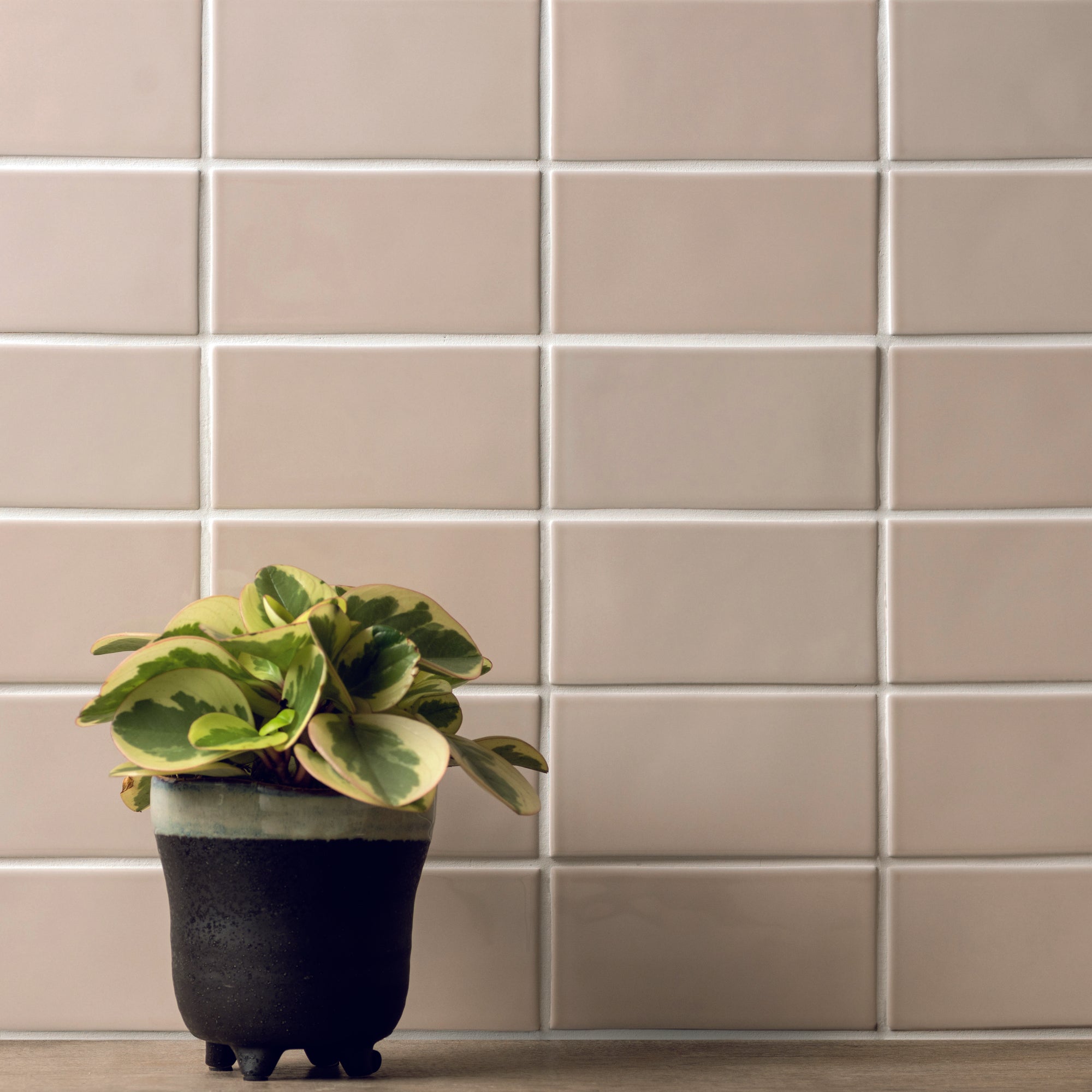 Artisan Half Tile Gloss Glaze 150x75x10mm